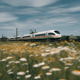 Travel
